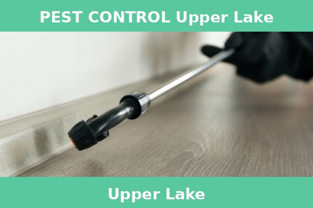 PEST CONTROL Upper Lake